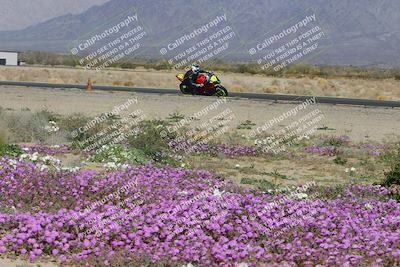 media/Feb-04-2023-SoCal Trackdays (Sat) [[8a776bf2c3]]/Turn 15 Inside Blooming (1050am)/